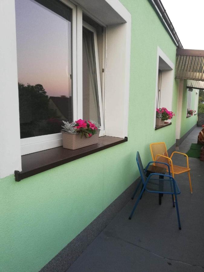 Gasthaus Agrogospodarstwo Halina Luc Sasino Exterior foto