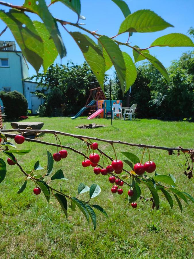 Gasthaus Agrogospodarstwo Halina Luc Sasino Exterior foto