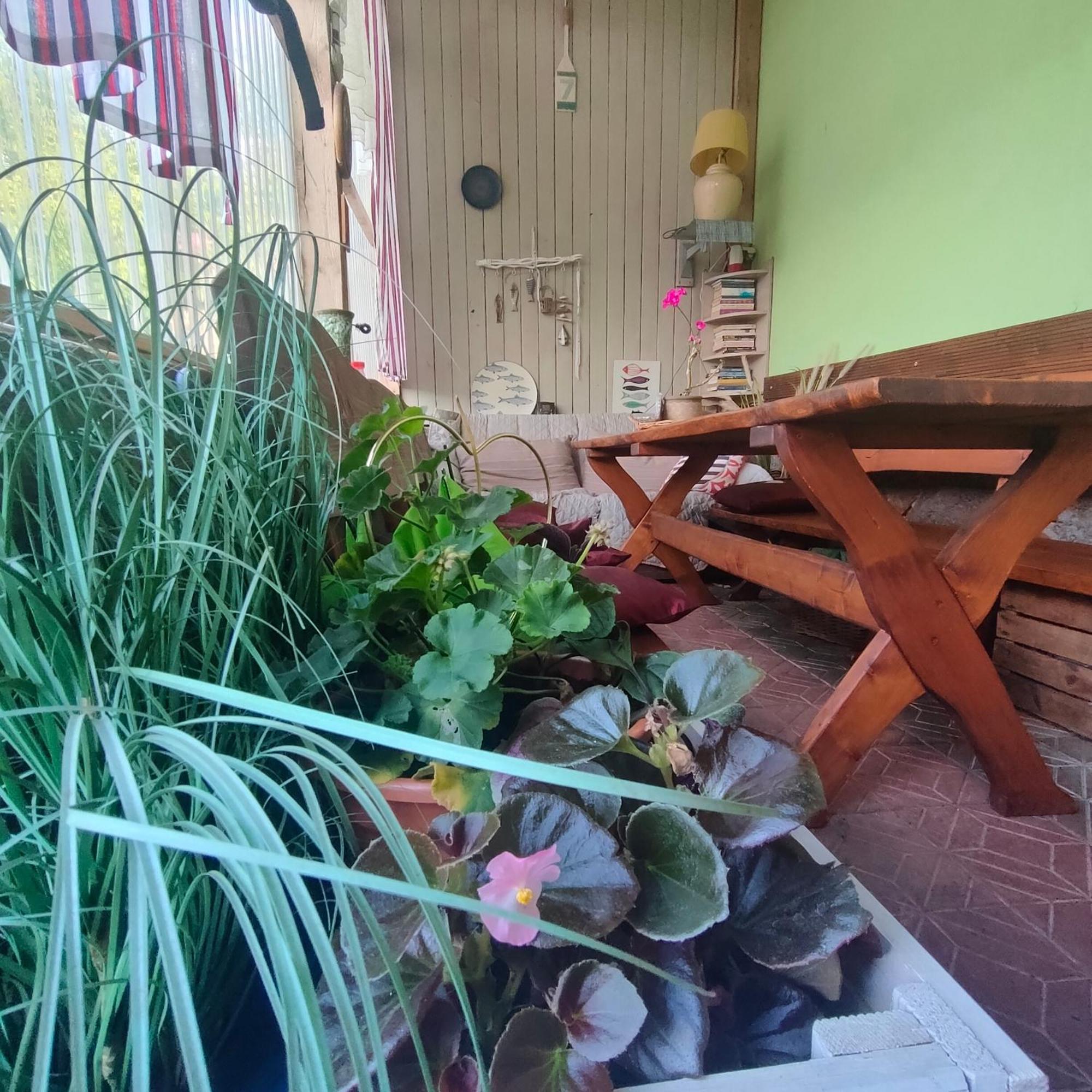 Gasthaus Agrogospodarstwo Halina Luc Sasino Exterior foto