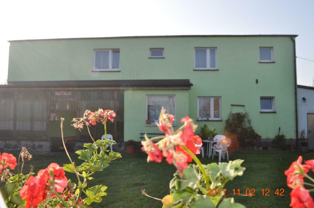 Gasthaus Agrogospodarstwo Halina Luc Sasino Exterior foto